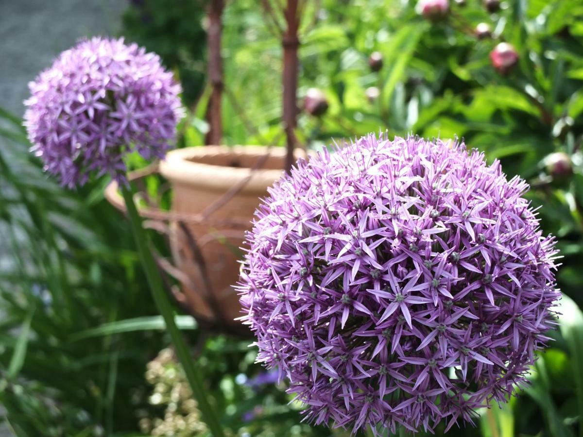 Ferienhaus In Der Schlipfing Mit Garten Altmuenster Bagian luar foto