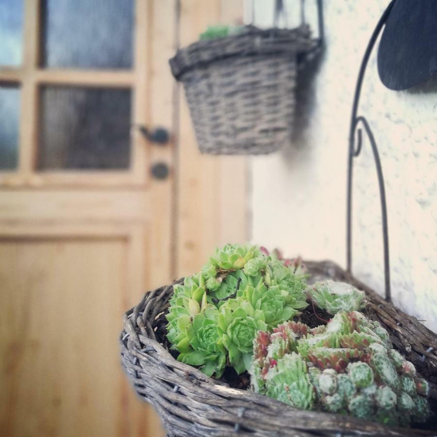 Ferienhaus In Der Schlipfing Mit Garten Altmuenster Bagian luar foto