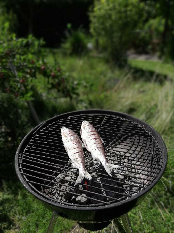 Ferienhaus In Der Schlipfing Mit Garten Altmuenster Bagian luar foto